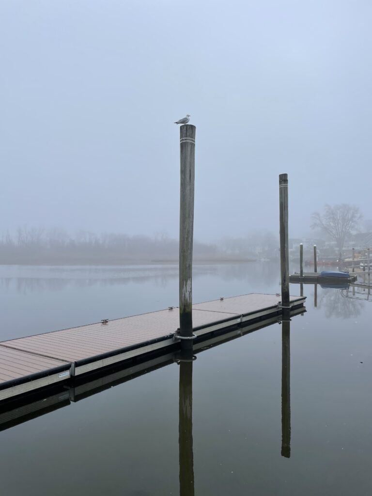 Foggy day with a calm river; a seagull is perched on a boat dock. 